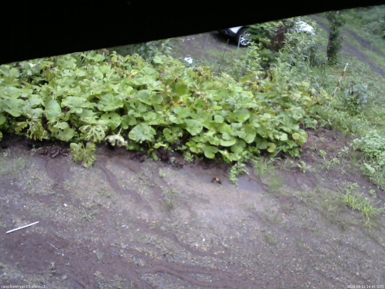 長野県菅平高原 ゆたか山荘 駐車場 2025/08/11 14:45