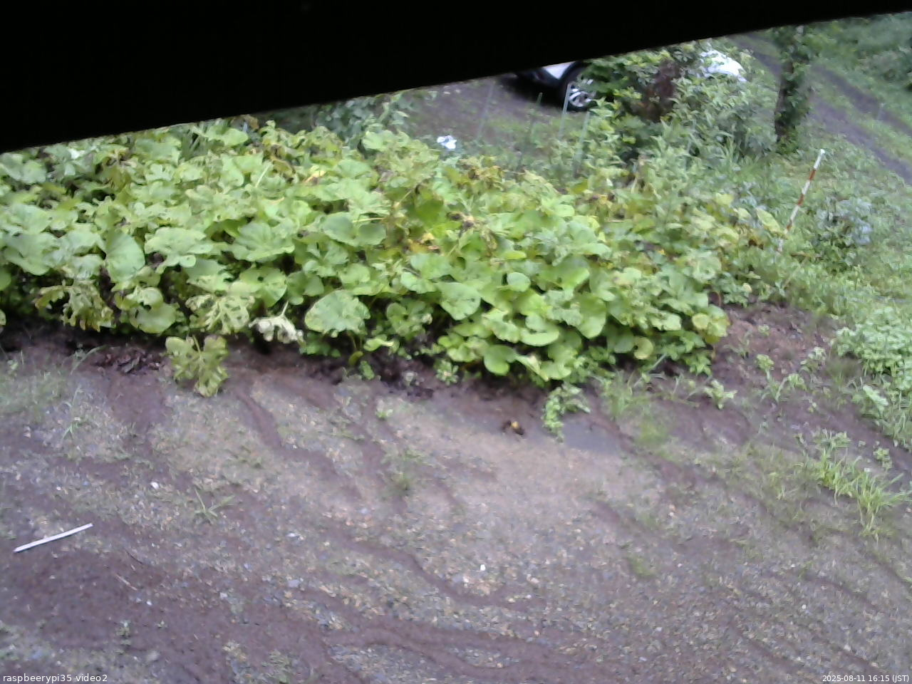 長野県菅平高原 ゆたか山荘 駐車場 2025/08/11 16:15