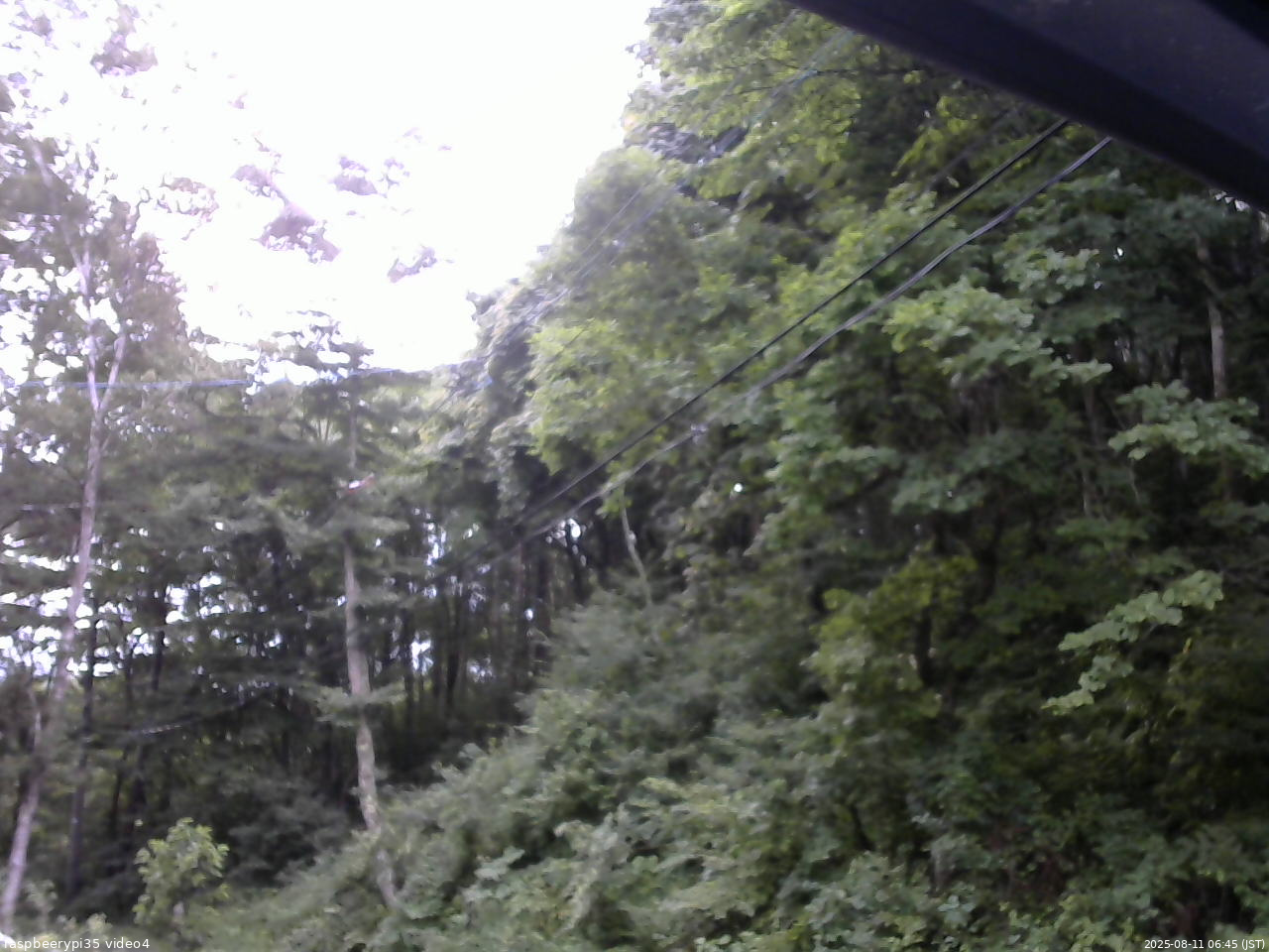 長野県菅平高原 ゆたか山荘 東側上空 2025/08/11 06:45