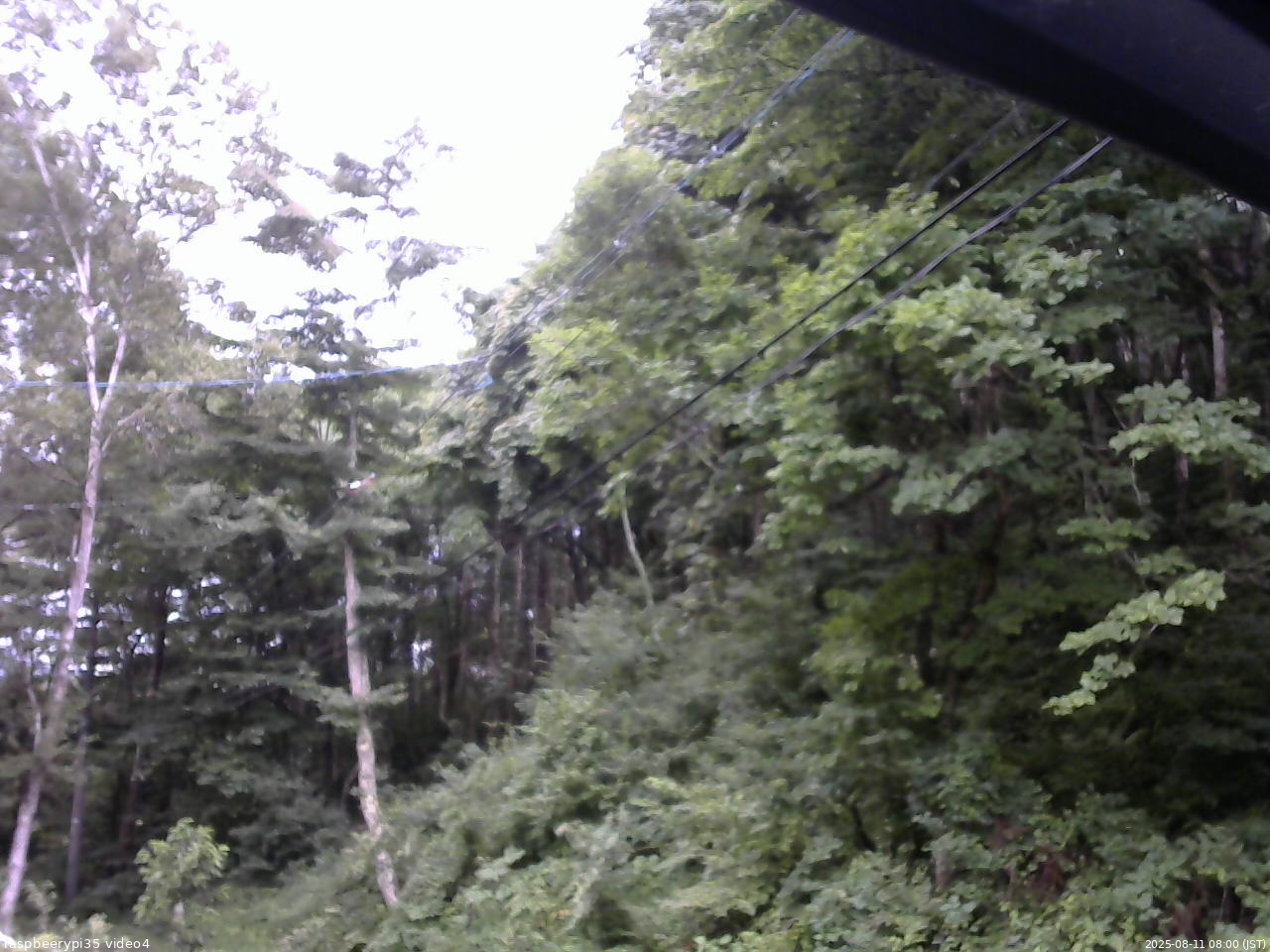 長野県菅平高原 ゆたか山荘 東側上空 2025/08/11 08:00