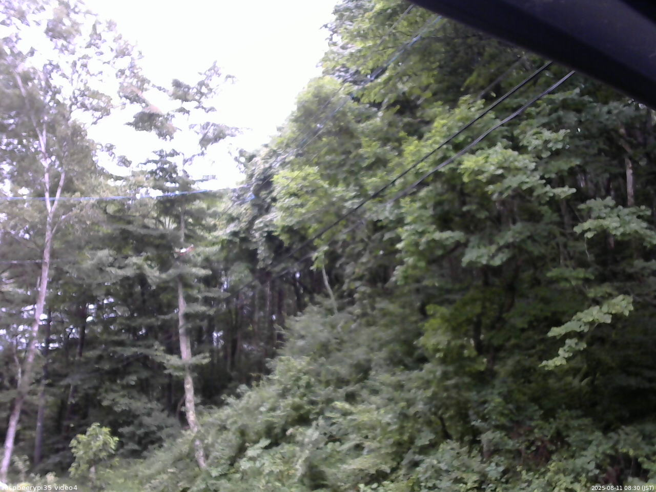長野県菅平高原 ゆたか山荘 東側上空 2025/08/11 08:30