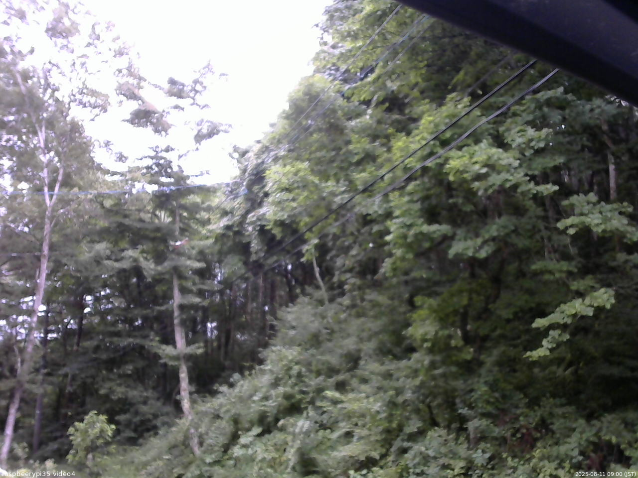 長野県菅平高原 ゆたか山荘 東側上空 2025/08/11 09:00