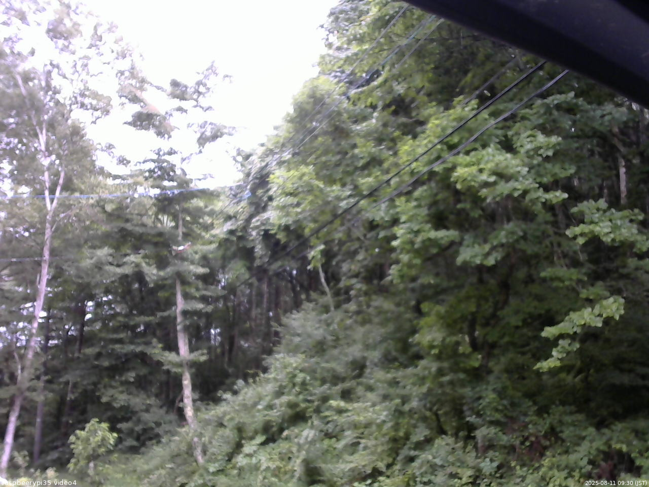 長野県菅平高原 ゆたか山荘 東側上空 2025/08/11 09:30