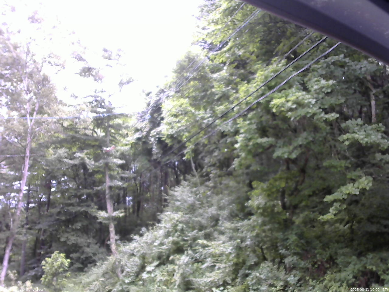 長野県菅平高原 ゆたか山荘 東側上空 2025/08/11 10:00