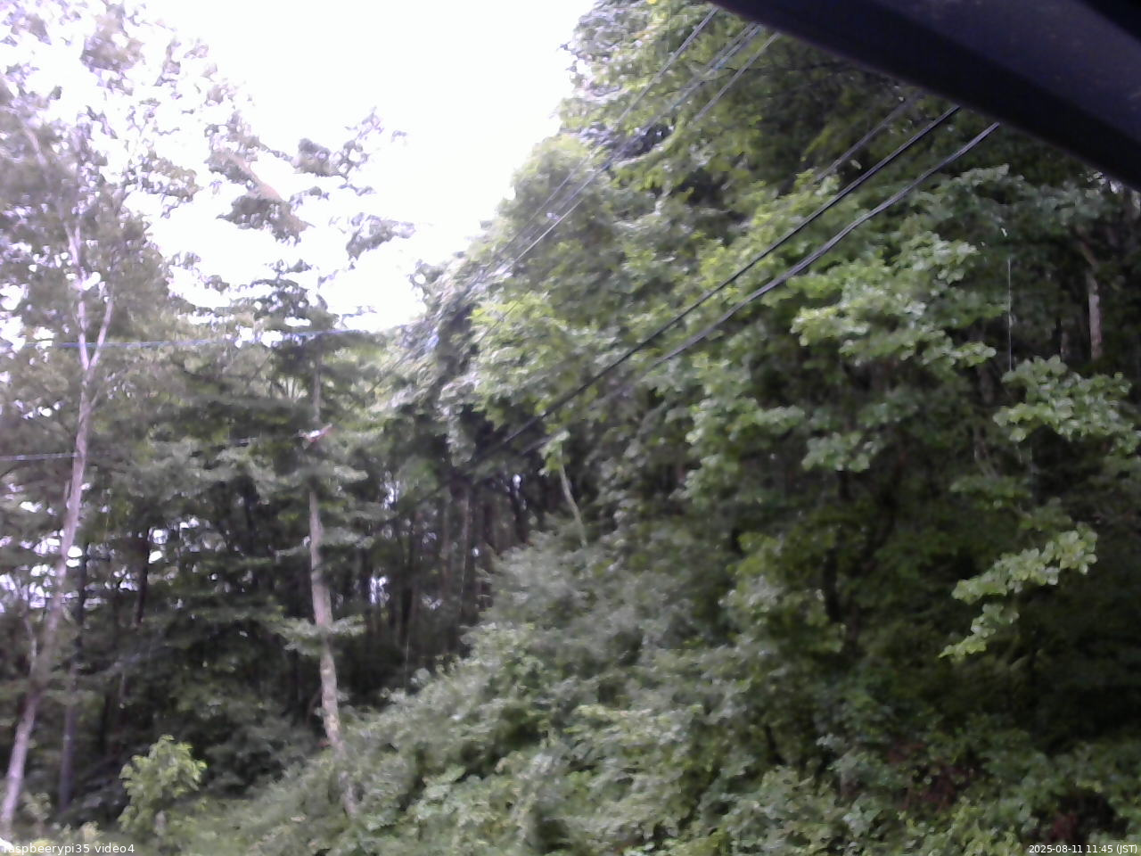 長野県菅平高原 ゆたか山荘 東側上空 2025/08/11 11:45