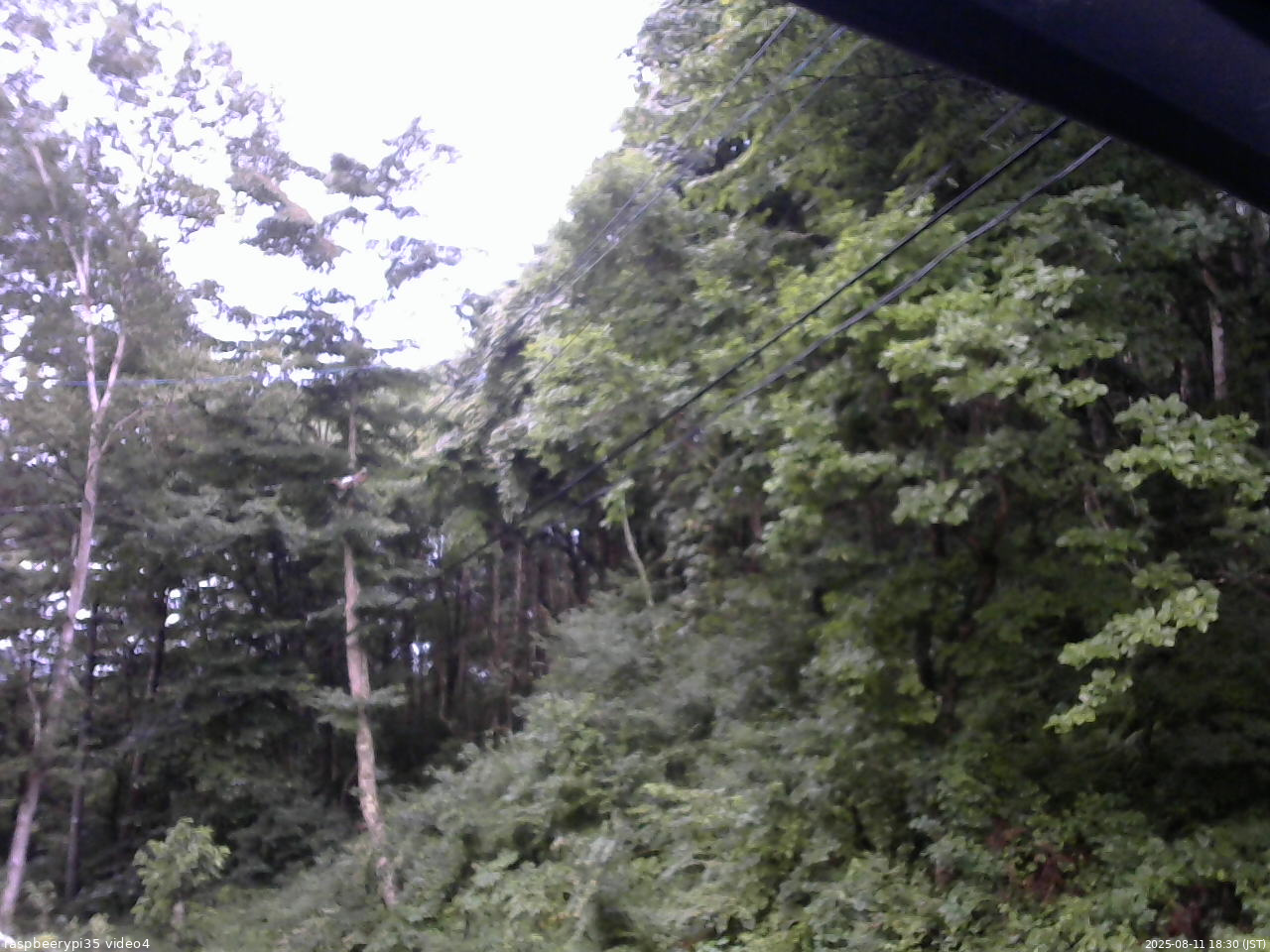 長野県菅平高原 ゆたか山荘 東側上空 2025/08/11 18:30