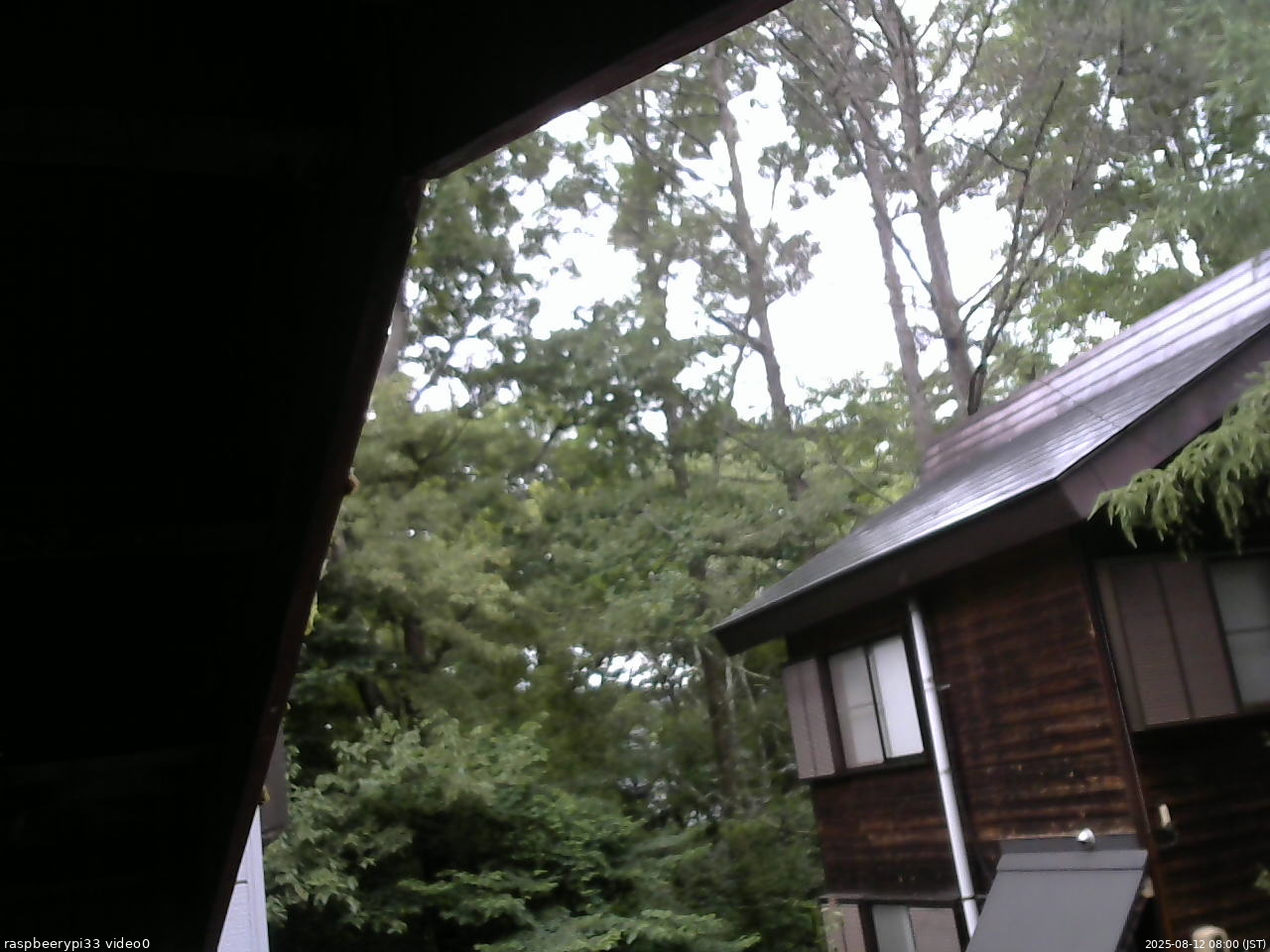 長野県菅平高原 ゆたか山荘 北側 2025/08/12 08:00