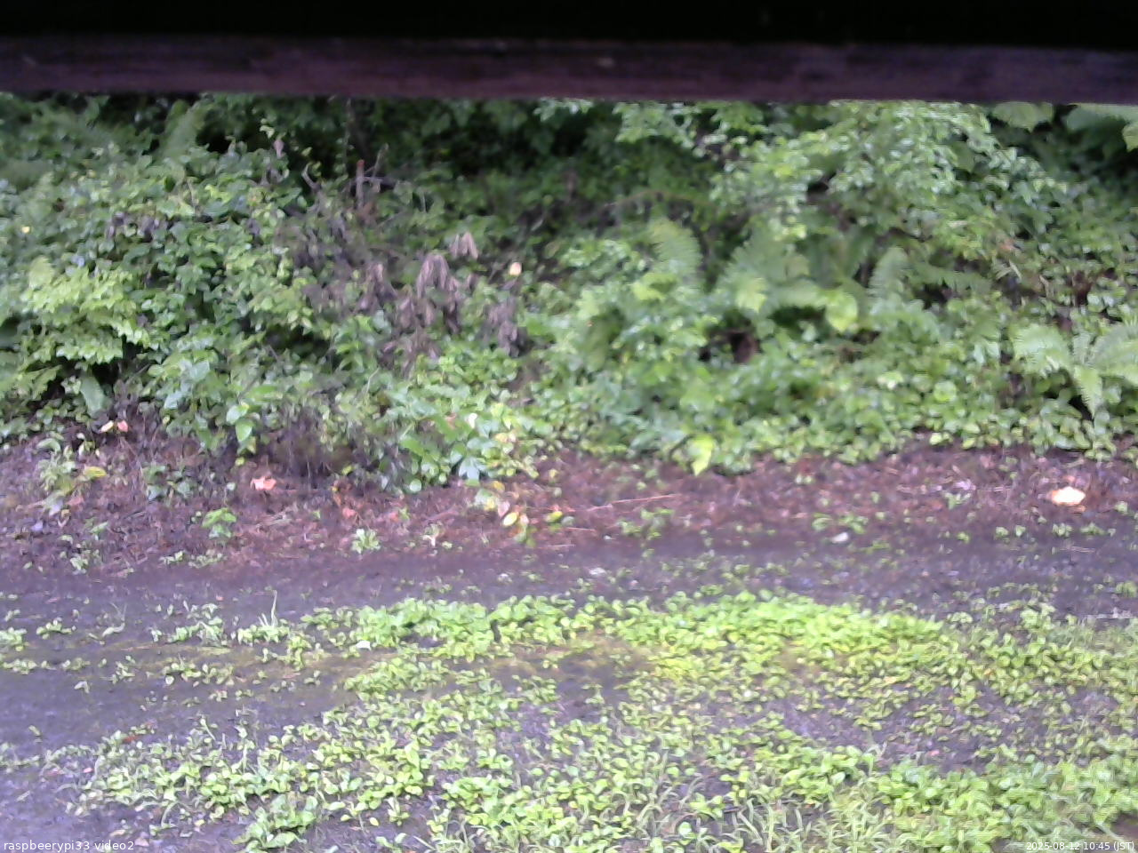長野県菅平高原 ゆたか山荘 南側 2025/08/12 10:45