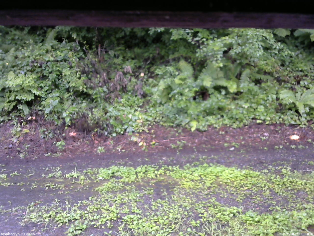 長野県菅平高原 ゆたか山荘 南側 2025/08/12 12:15