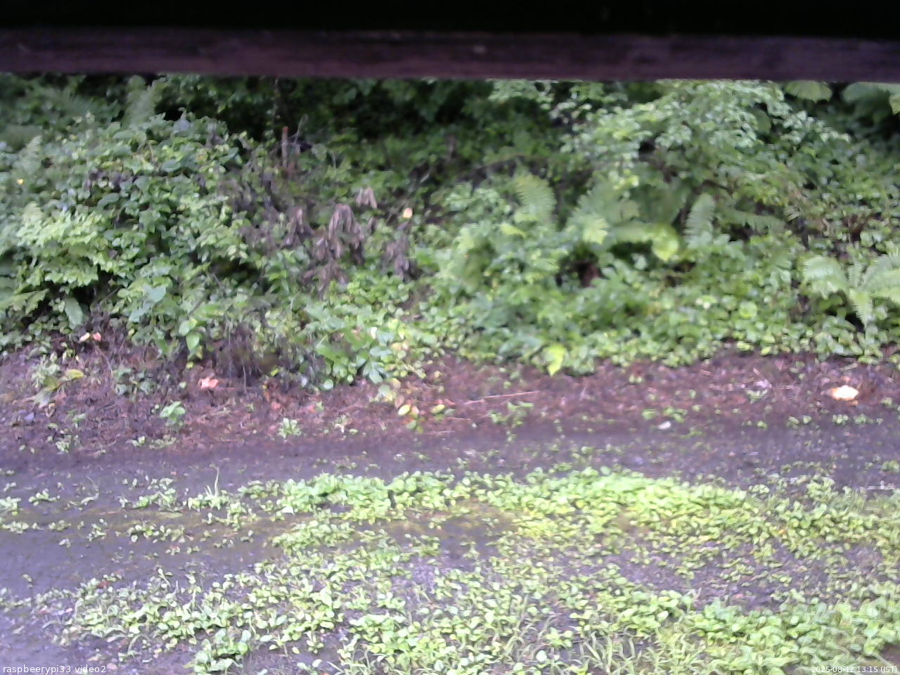 長野県菅平高原 ゆたか山荘 南側 2025/08/12 13:15