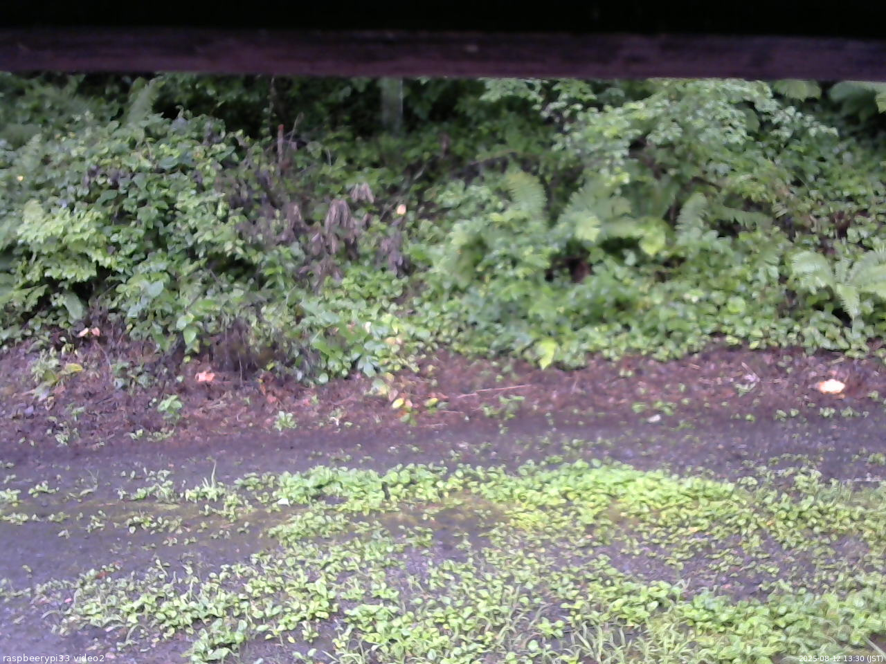 長野県菅平高原 ゆたか山荘 南側 2025/08/12 13:30