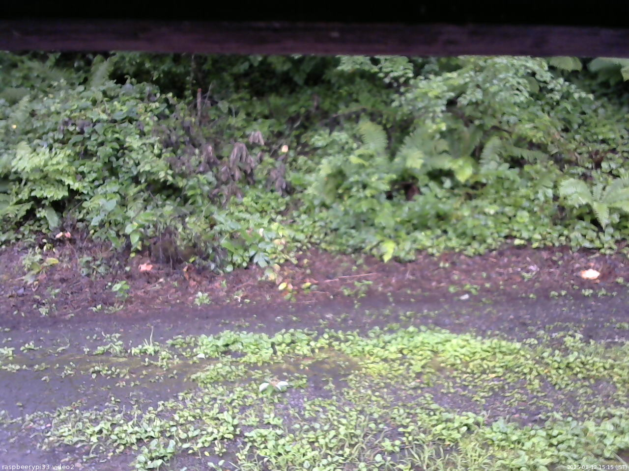 長野県菅平高原 ゆたか山荘 南側 2025/08/12 15:15