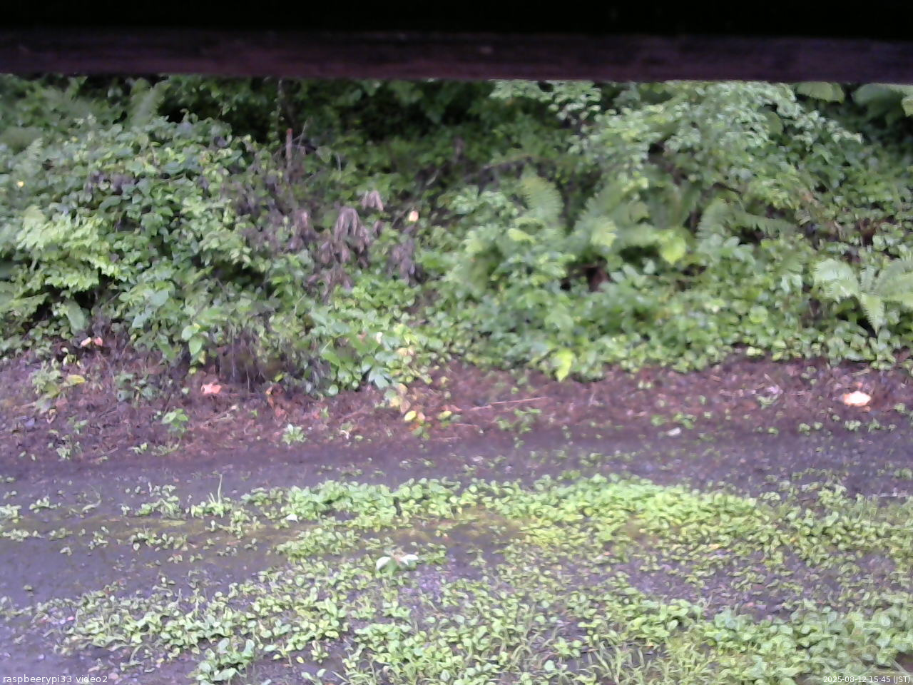 長野県菅平高原 ゆたか山荘 南側 2025/08/12 15:45