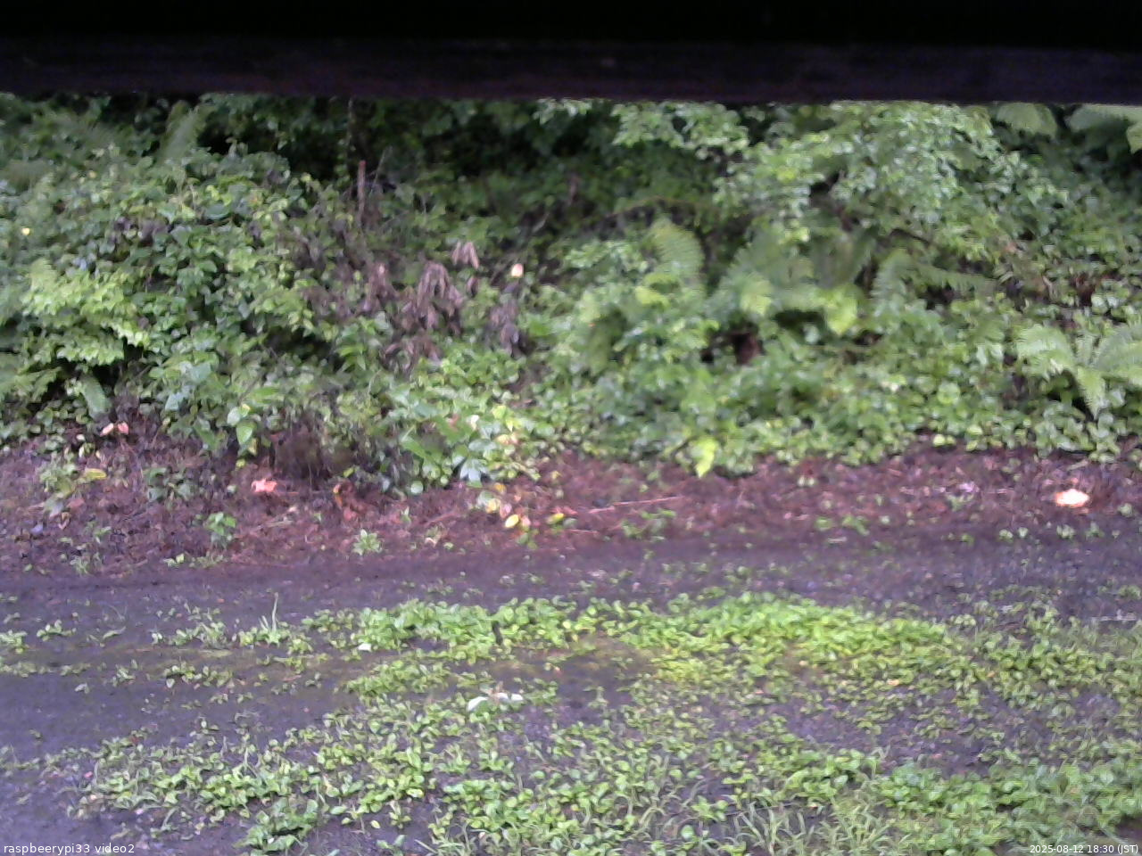 長野県菅平高原 ゆたか山荘 南側 2025/08/12 18:30