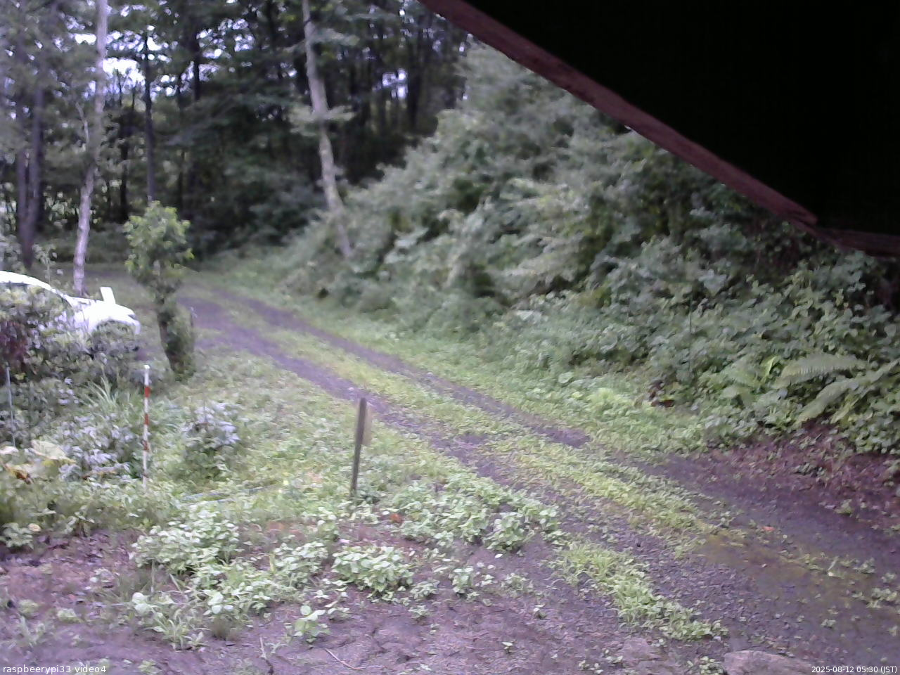 長野県菅平高原 ゆたか山荘 東側(坂下) 2025/08/12 05:30