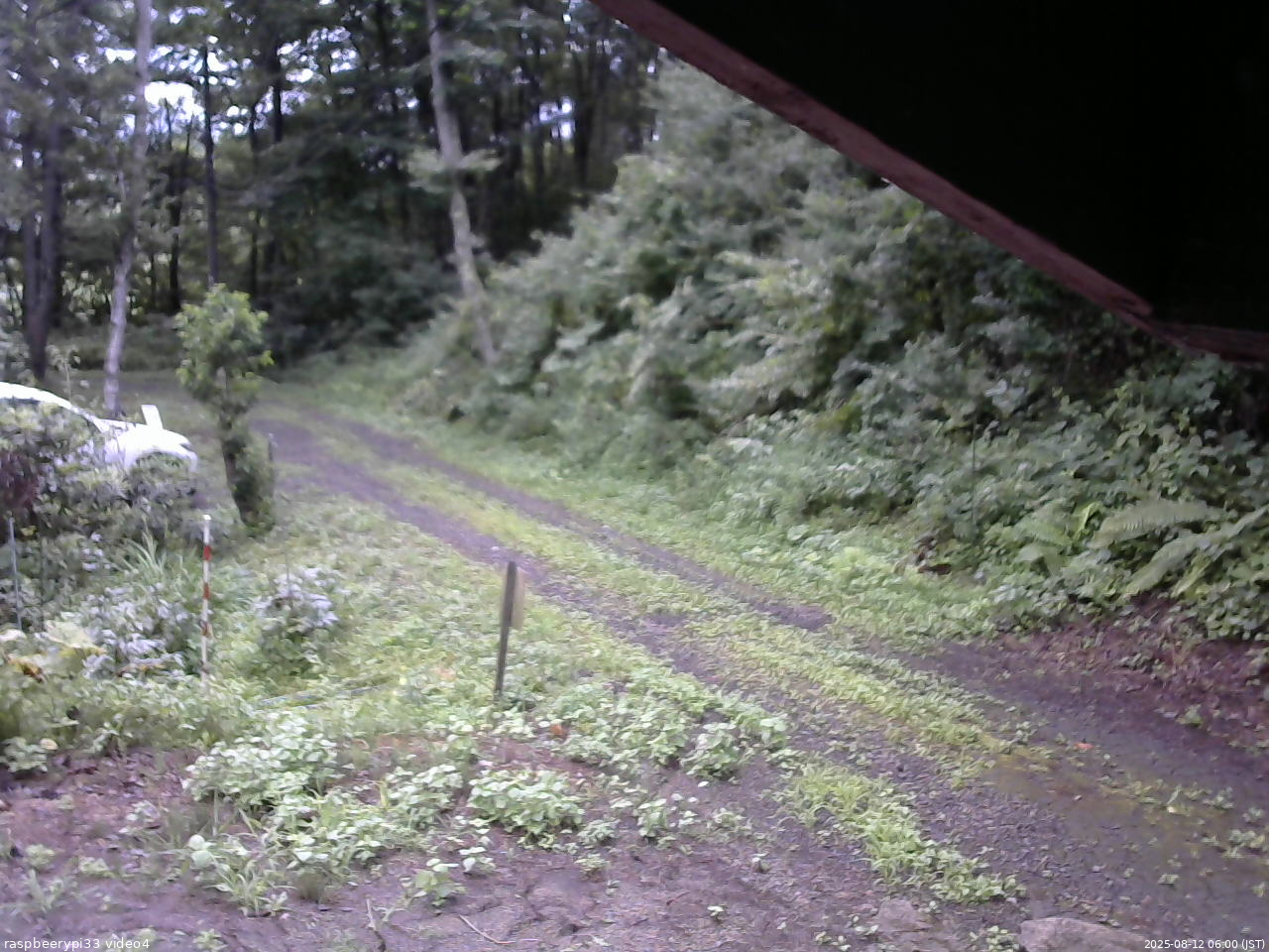 長野県菅平高原 ゆたか山荘 東側(坂下) 2025/08/12 06:00