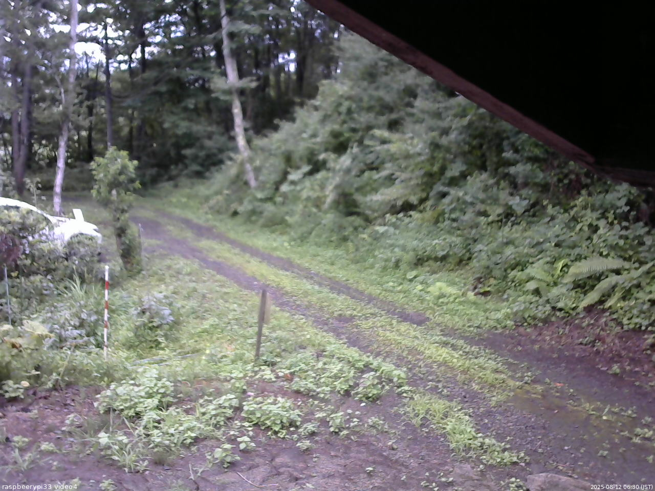長野県菅平高原 ゆたか山荘 東側(坂下) 2025/08/12 06:30