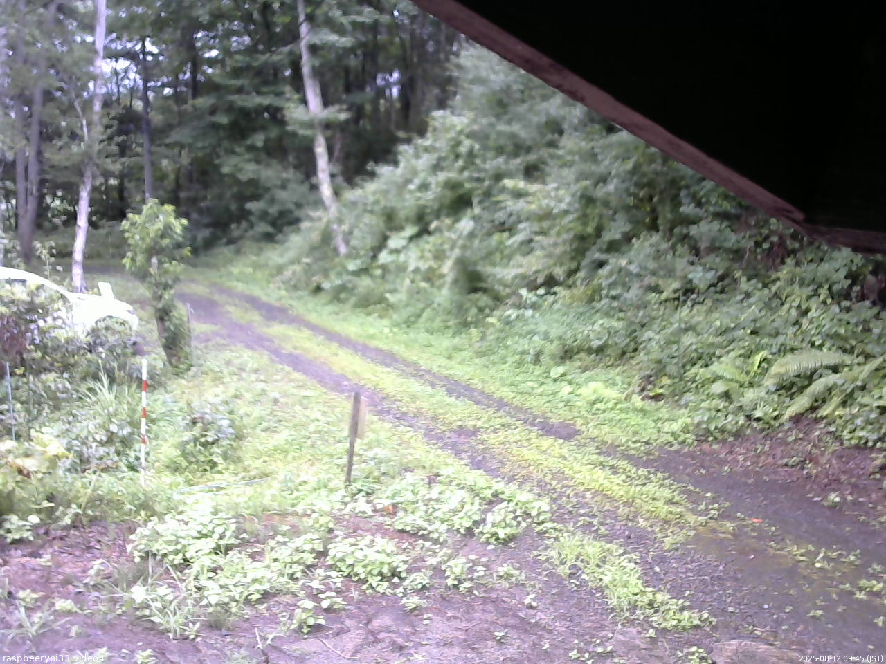 長野県菅平高原 ゆたか山荘 東側(坂下) 2025/08/12 09:45