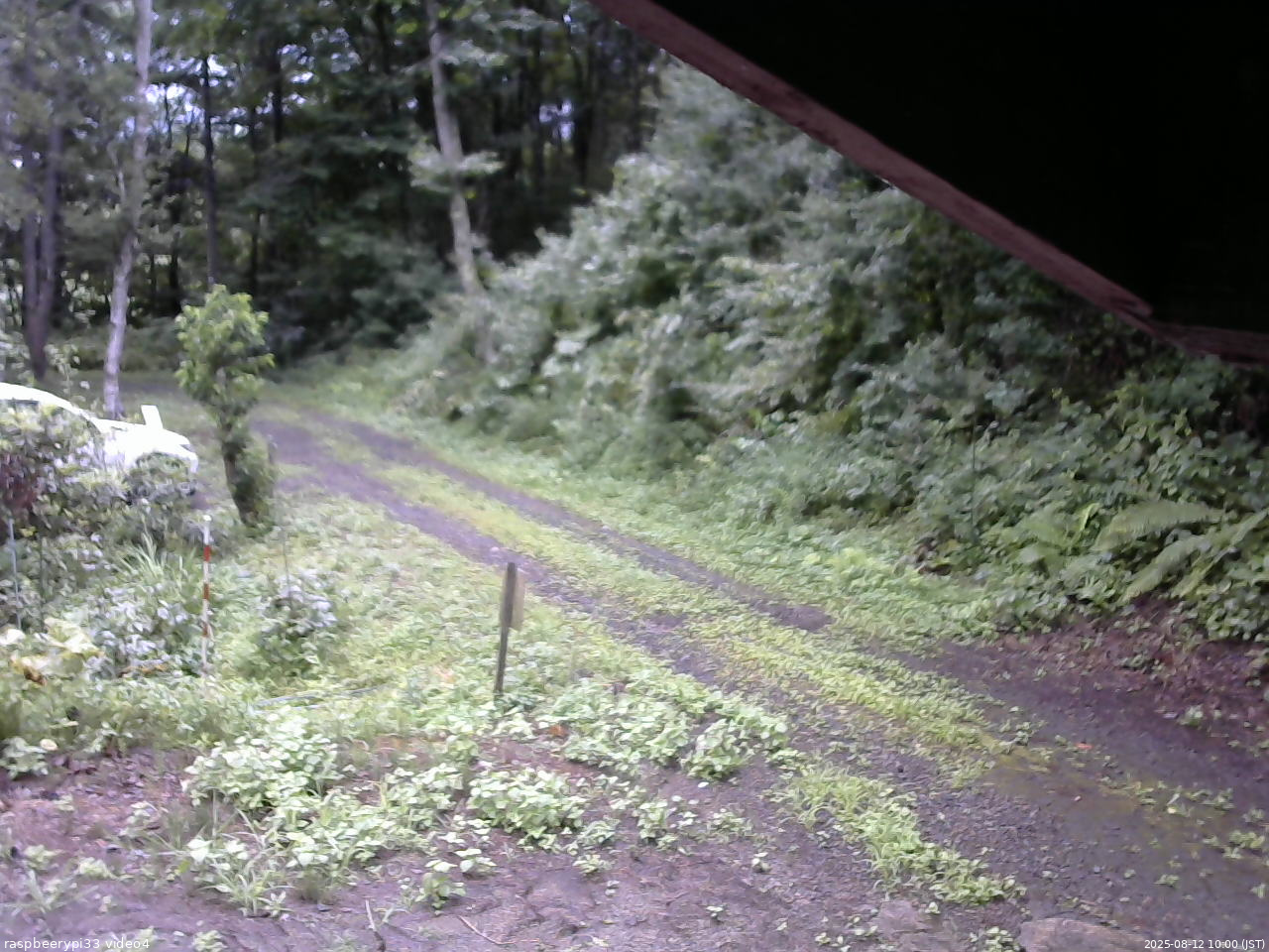 長野県菅平高原 ゆたか山荘 東側(坂下) 2025/08/12 10:00