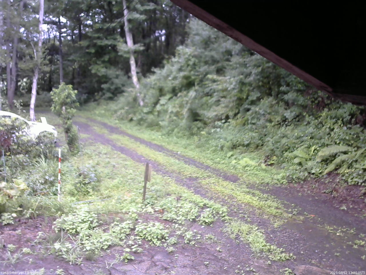 長野県菅平高原 ゆたか山荘 東側(坂下) 2025/08/12 12:30