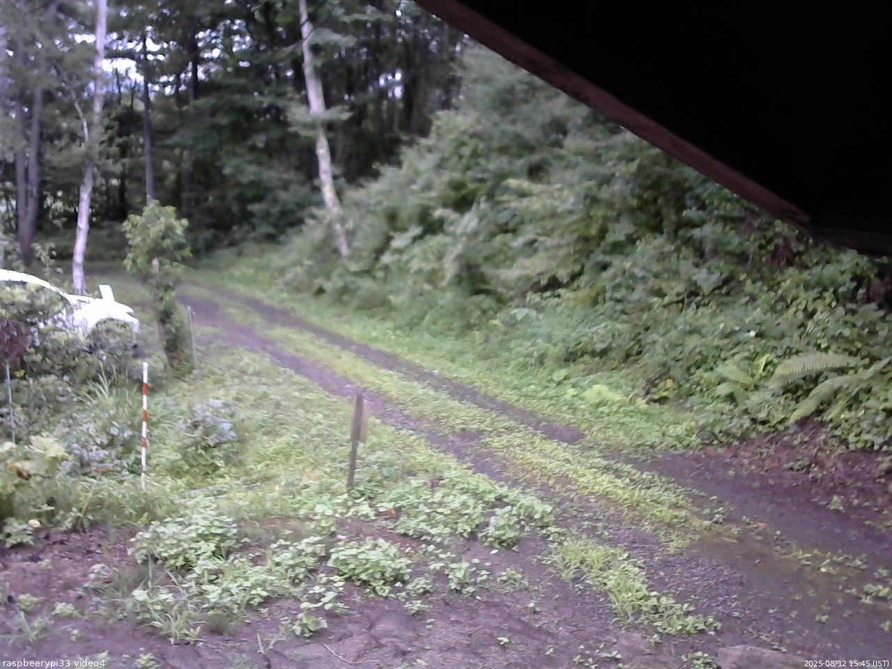 長野県菅平高原 ゆたか山荘 東側(坂下) 2025/08/12 15:45