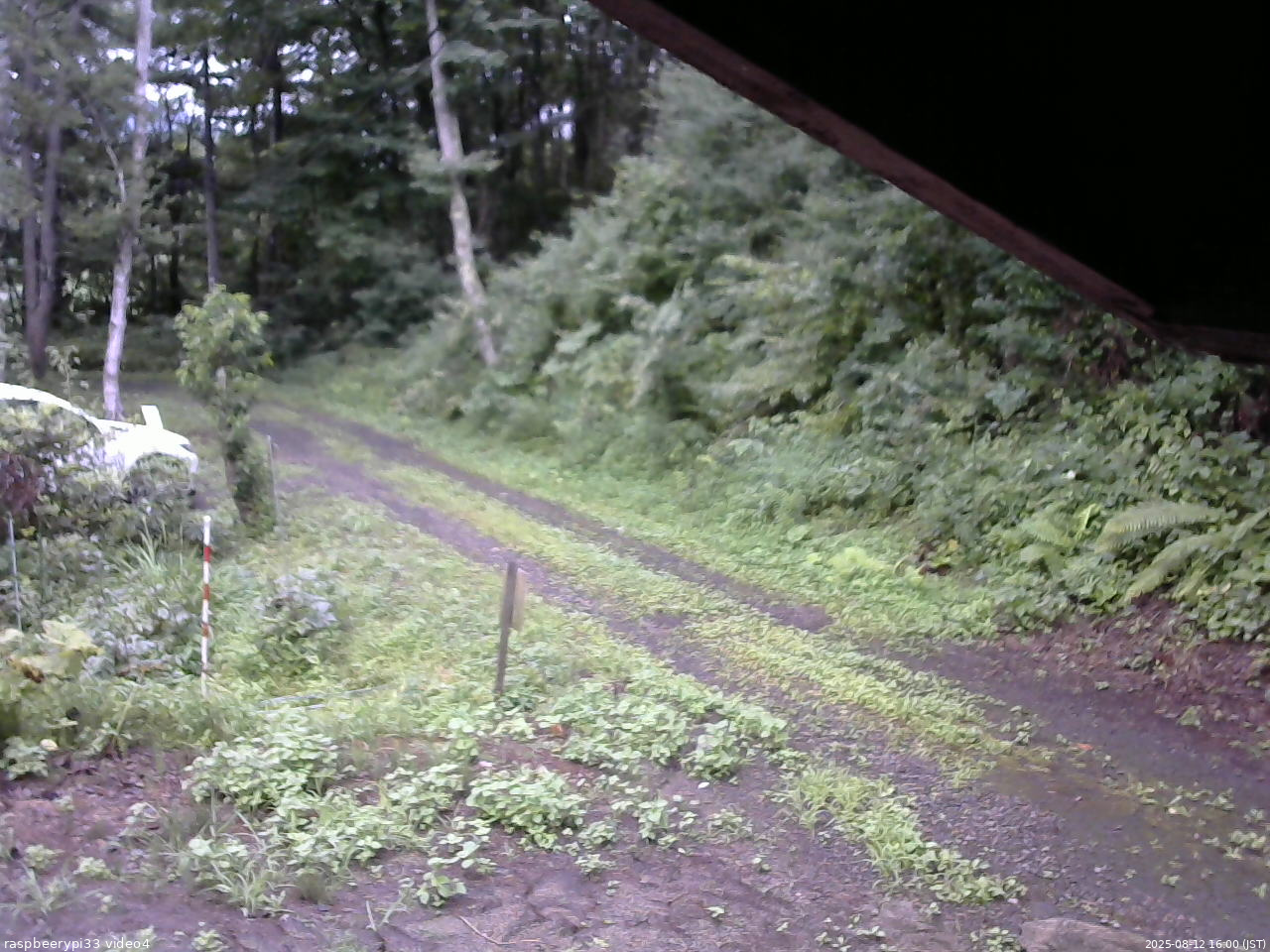 長野県菅平高原 ゆたか山荘 東側(坂下) 2025/08/12 16:00