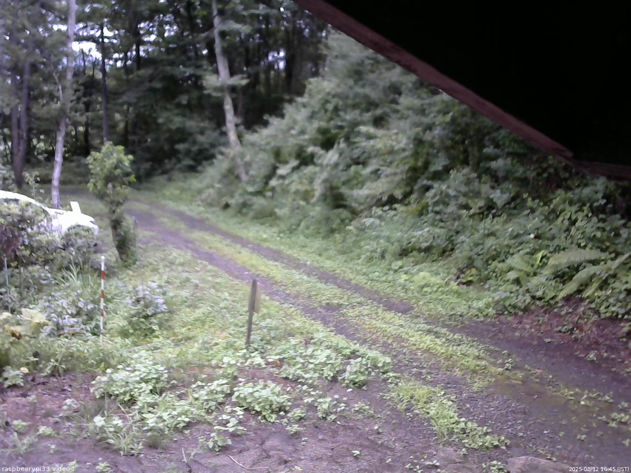 長野県菅平高原 ゆたか山荘 東側(坂下) 2025/08/12 16:45