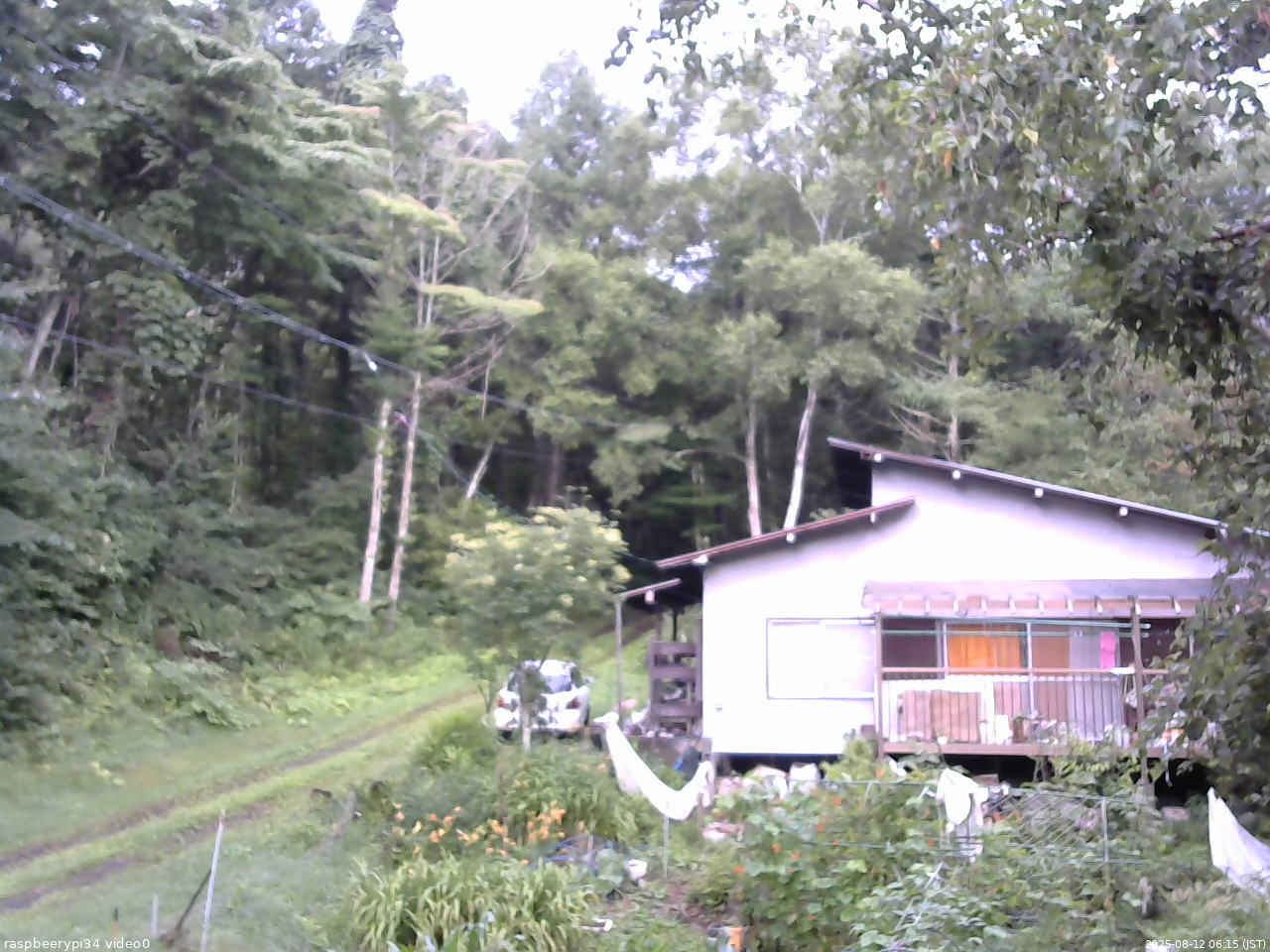 長野県菅平高原 ゆたか山荘 西側(坂上) 2025/08/12 06:15