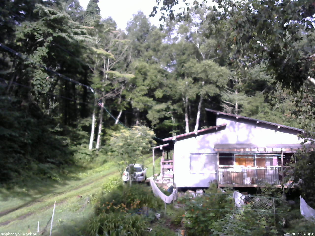長野県菅平高原 ゆたか山荘 西側(坂上) 2025/08/12 06:45