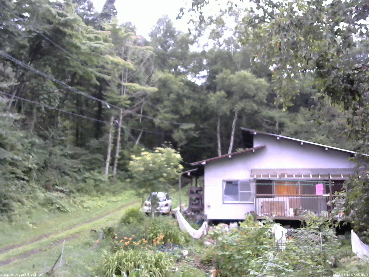 長野県菅平高原 ゆたか山荘 西側(坂上) 2025/08/12 07:45