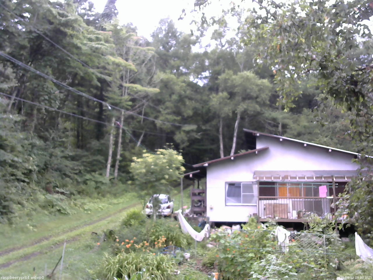 長野県菅平高原 ゆたか山荘 西側(坂上) 2025/08/12 08:00