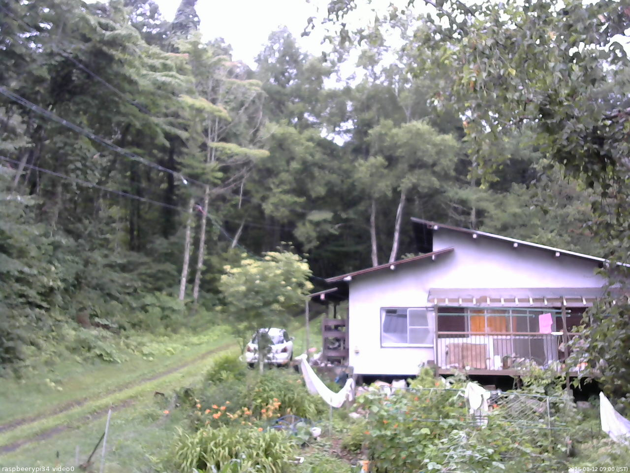 長野県菅平高原 ゆたか山荘 西側(坂上) 2025/08/12 09:00