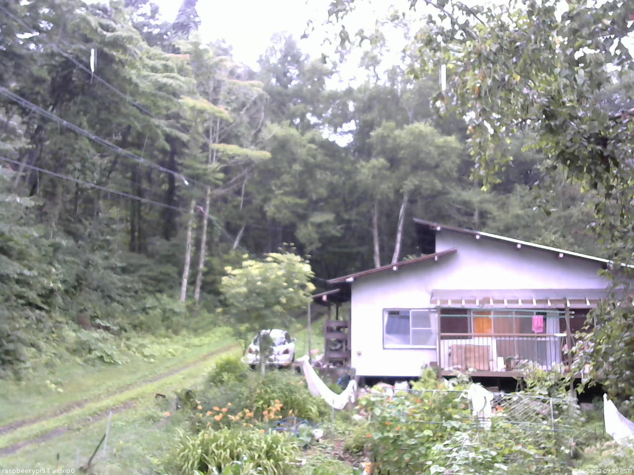 長野県菅平高原 ゆたか山荘 西側(坂上) 2025/08/12 09:30