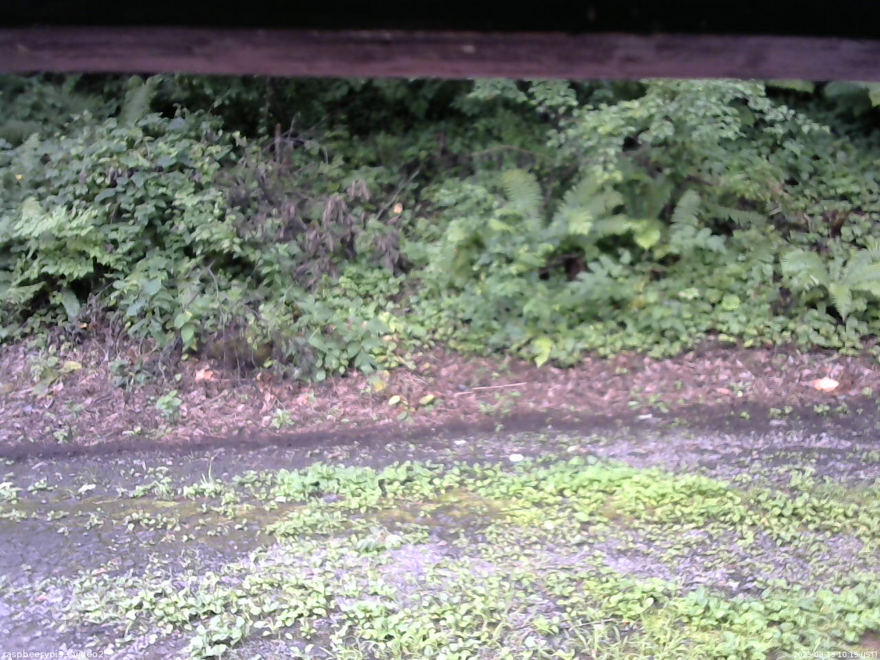 長野県菅平高原 ゆたか山荘 南側 2025/08/13 10:15