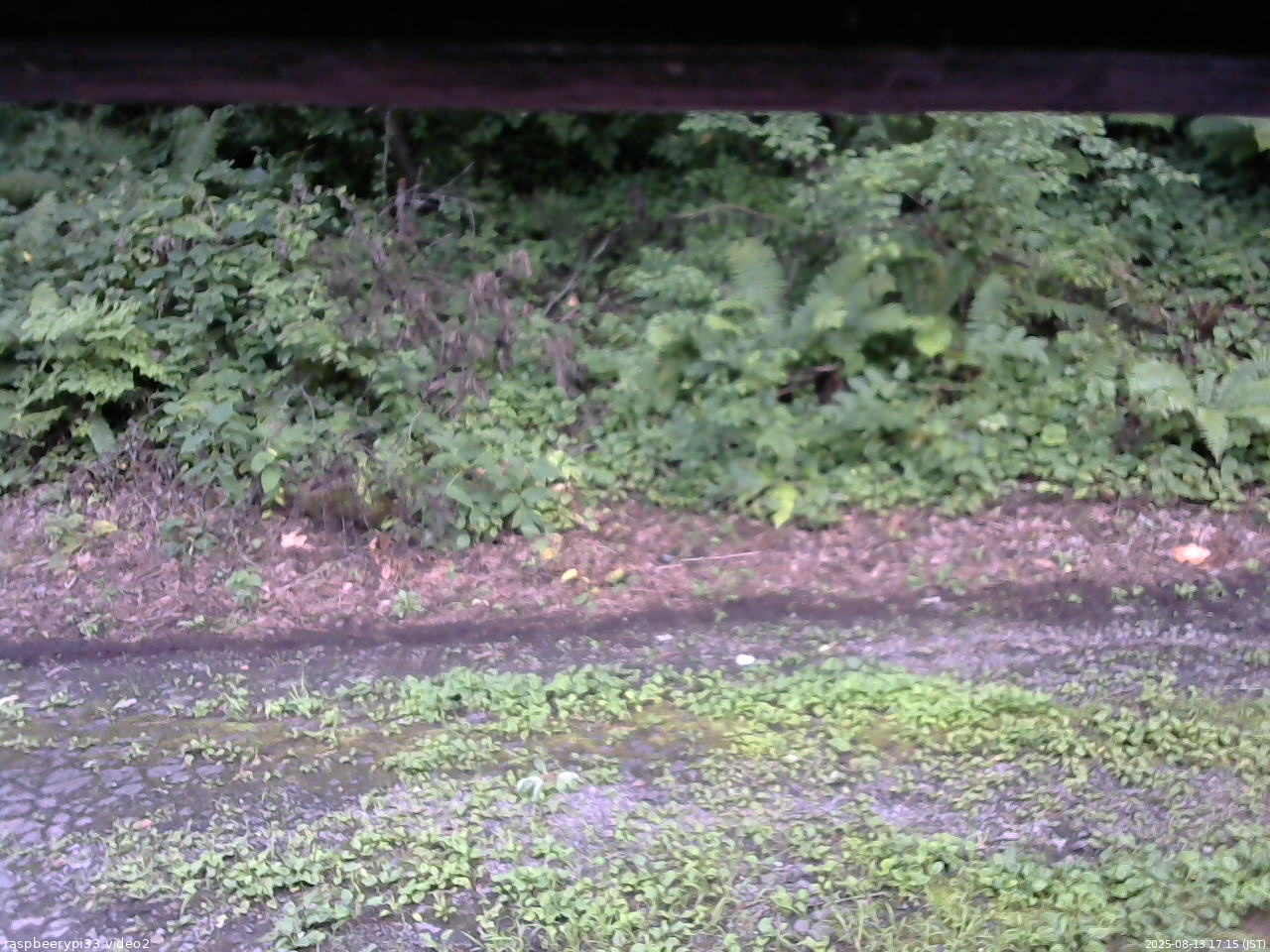 長野県菅平高原 ゆたか山荘 南側 2025/08/13 17:15