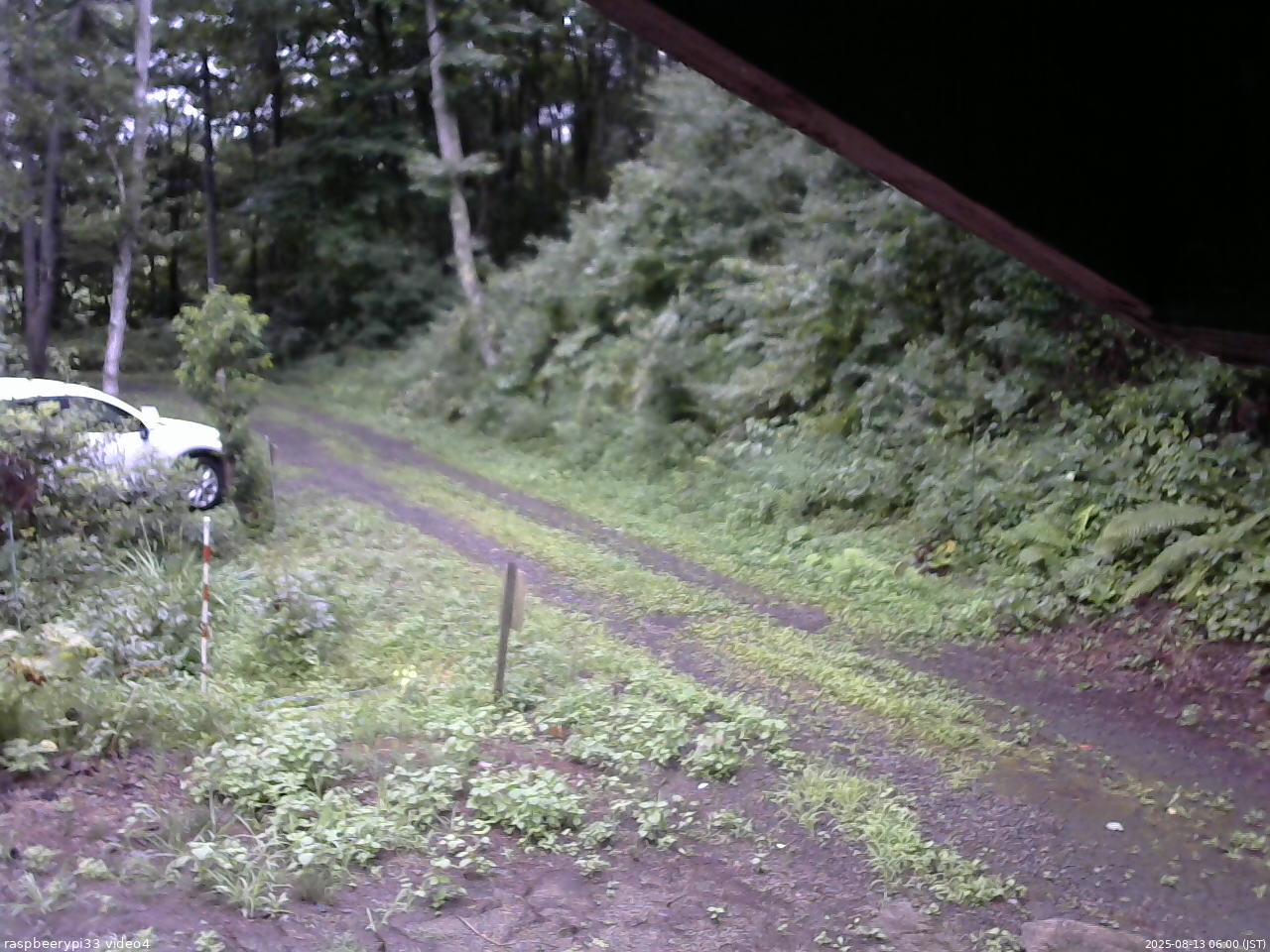長野県菅平高原 ゆたか山荘 東側(坂下) 2025/08/13 06:00