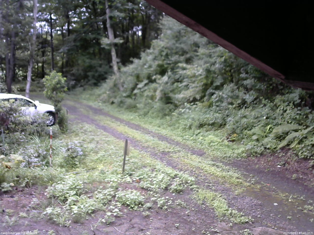 長野県菅平高原 ゆたか山荘 東側(坂下) 2025/08/13 07:30