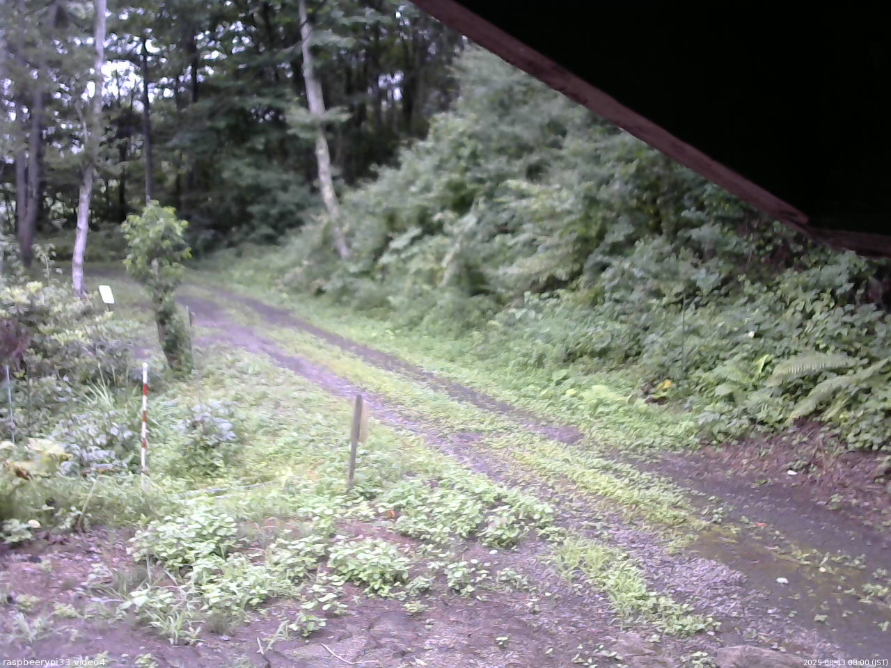 長野県菅平高原 ゆたか山荘 東側(坂下) 2025/08/13 08:00