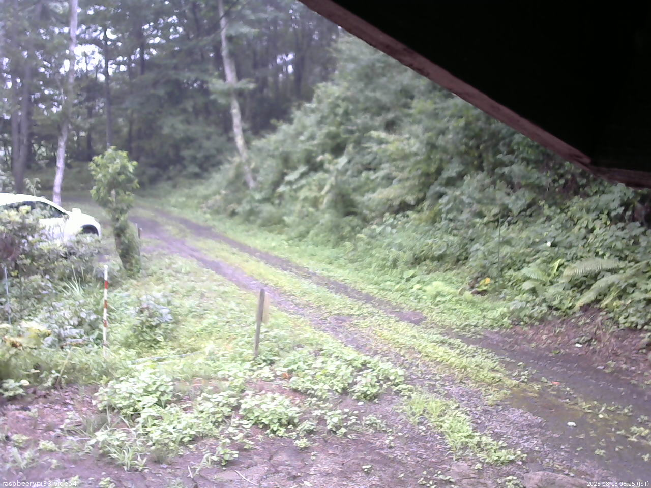 長野県菅平高原 ゆたか山荘 東側(坂下) 2025/08/13 08:15