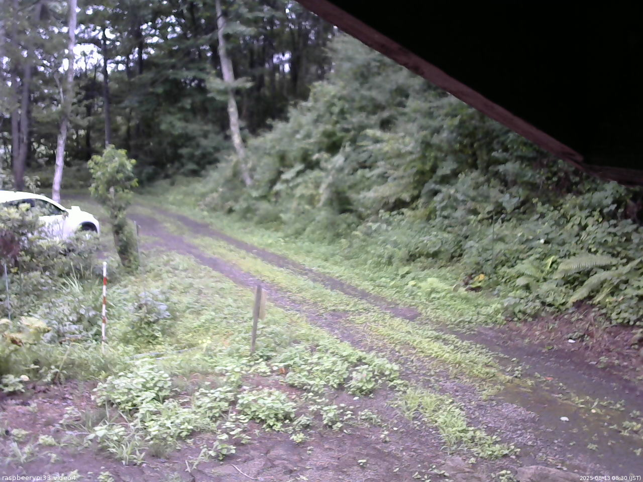 長野県菅平高原 ゆたか山荘 東側(坂下) 2025/08/13 08:30
