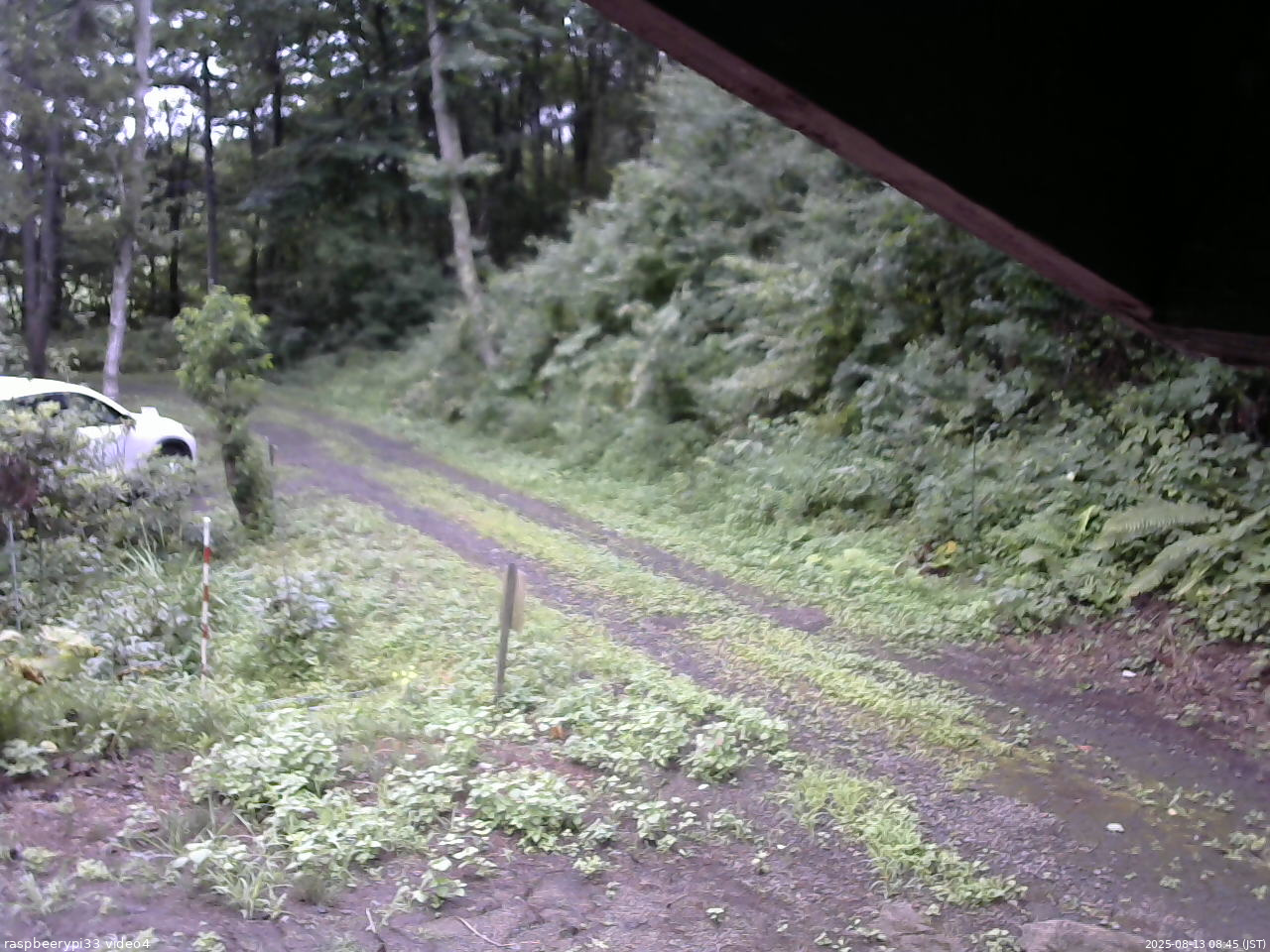 長野県菅平高原 ゆたか山荘 東側(坂下) 2025/08/13 08:45