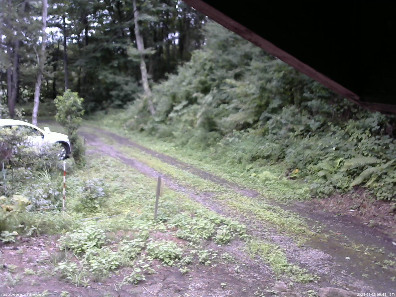 長野県菅平高原 ゆたか山荘 東側(坂下) 2025/08/13 09:45
