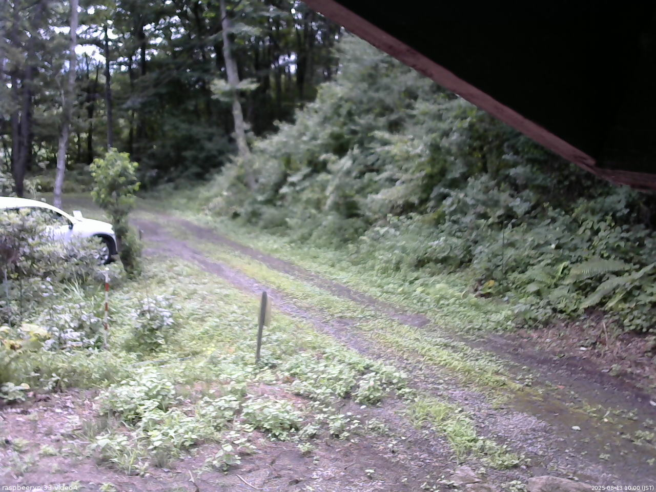 長野県菅平高原 ゆたか山荘 東側(坂下) 2025/08/13 10:00
