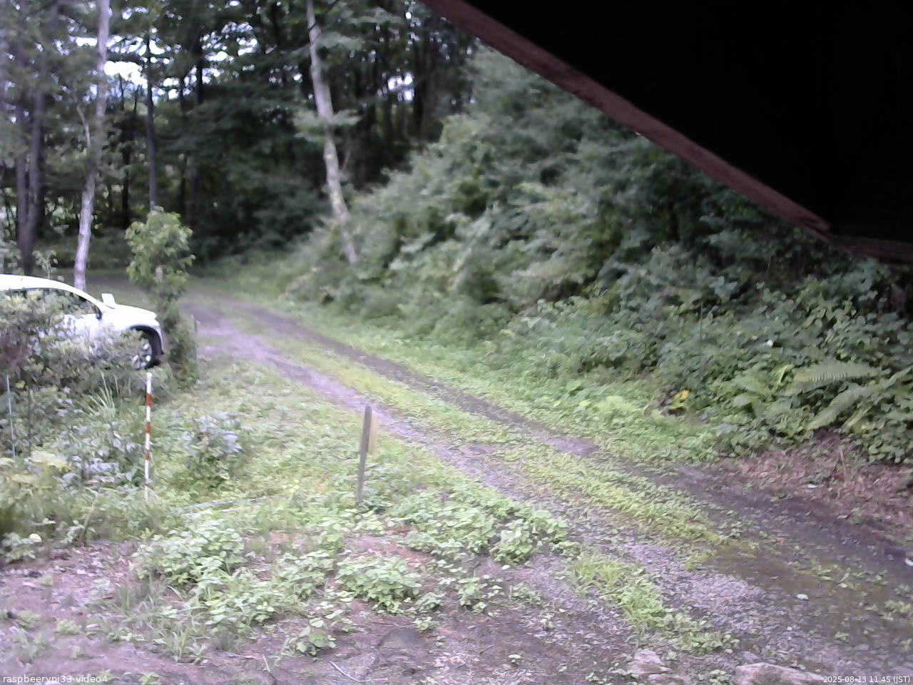 長野県菅平高原 ゆたか山荘 東側(坂下) 2025/08/13 11:45