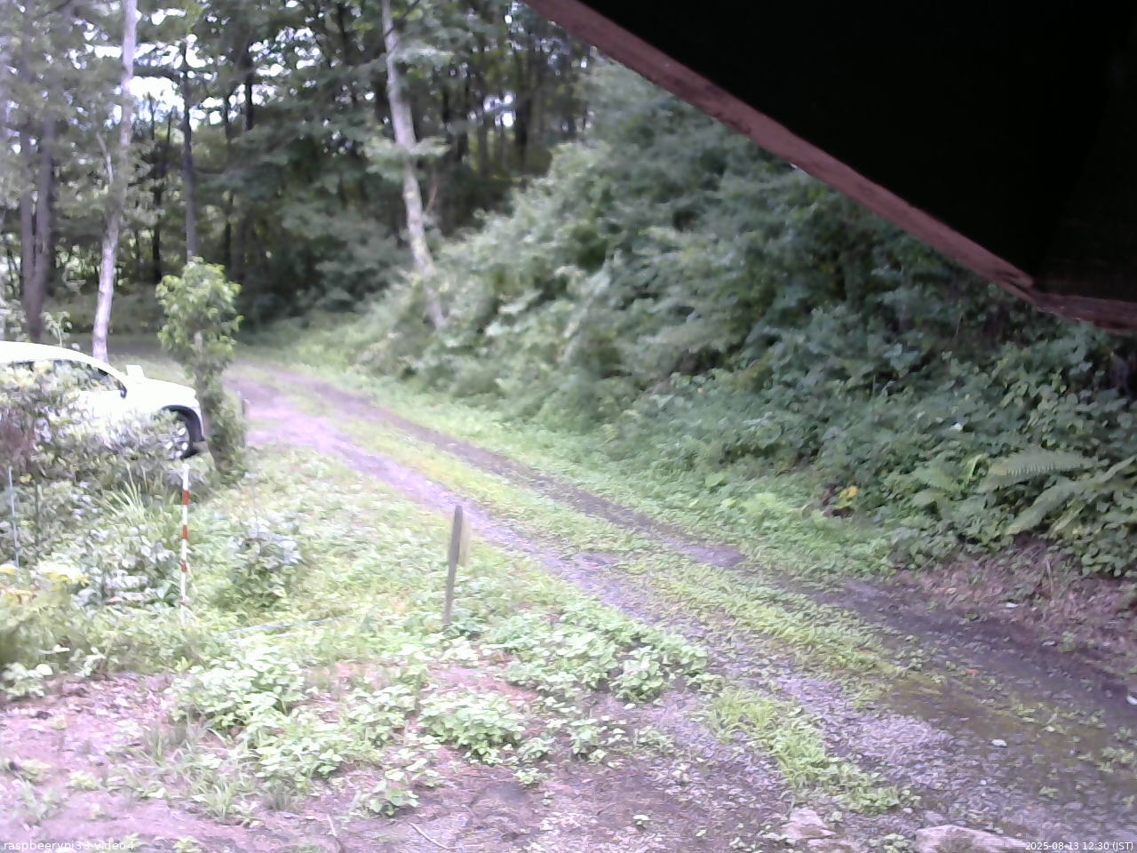 長野県菅平高原 ゆたか山荘 東側(坂下) 2025/08/13 12:30