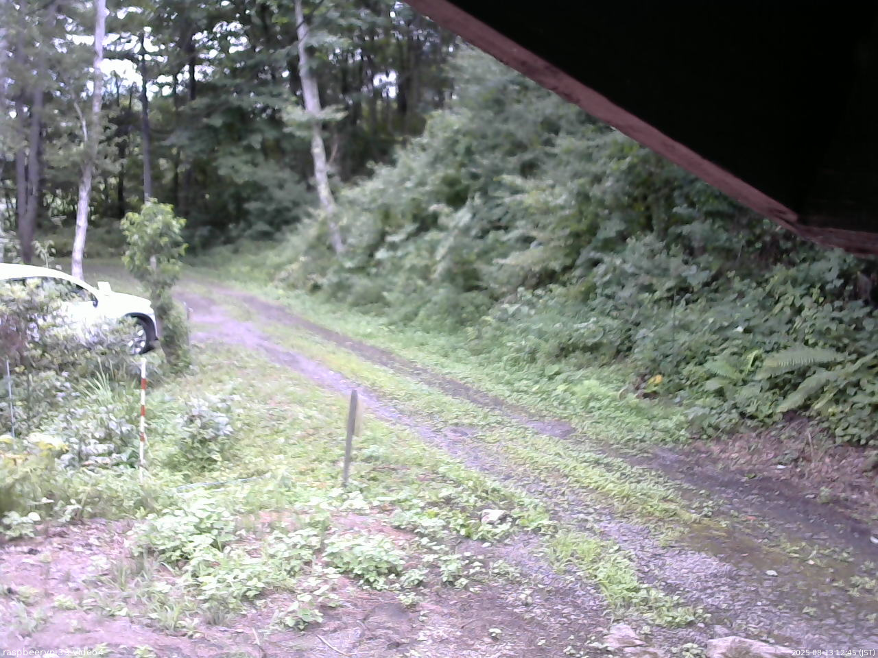 長野県菅平高原 ゆたか山荘 東側(坂下) 2025/08/13 12:45