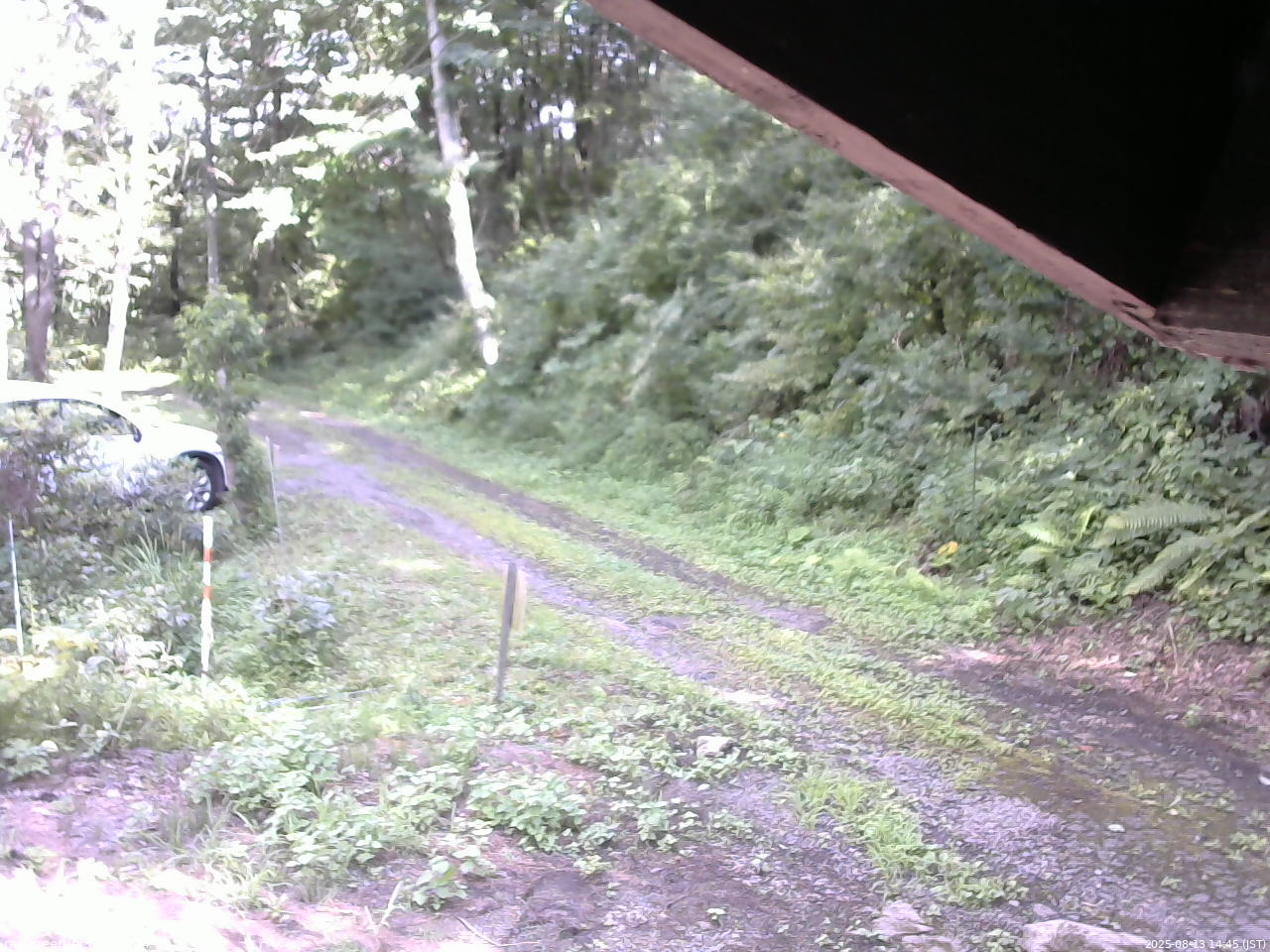 長野県菅平高原 ゆたか山荘 東側(坂下) 2025/08/13 14:45