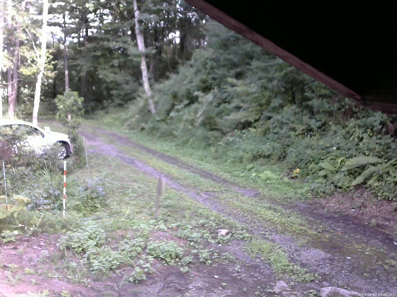 長野県菅平高原 ゆたか山荘 東側(坂下) 2025/08/13 15:30