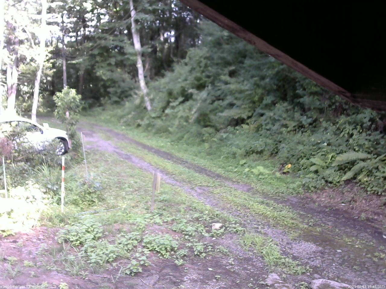 長野県菅平高原 ゆたか山荘 東側(坂下) 2025/08/13 15:45