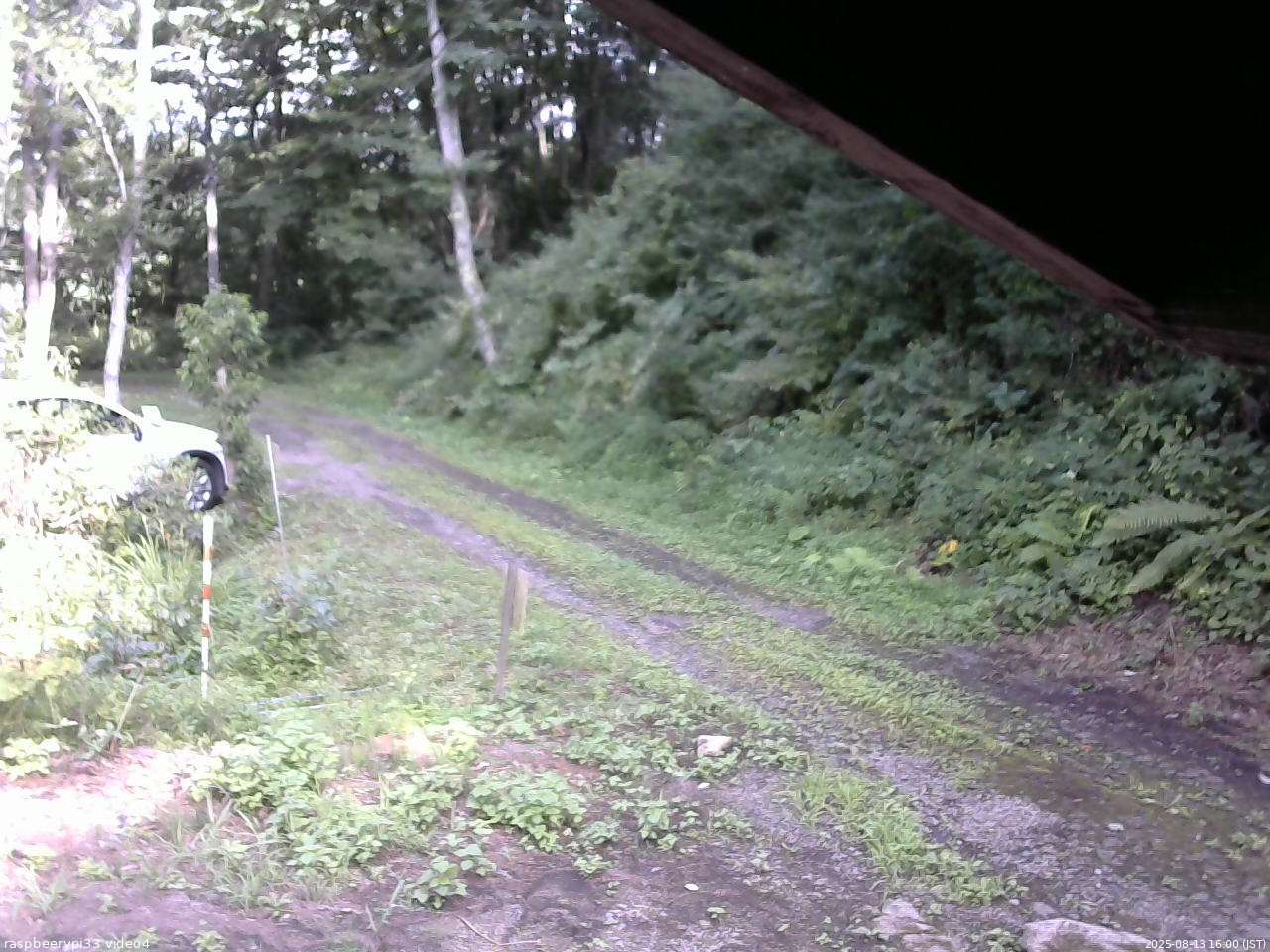 長野県菅平高原 ゆたか山荘 東側(坂下) 2025/08/13 16:00